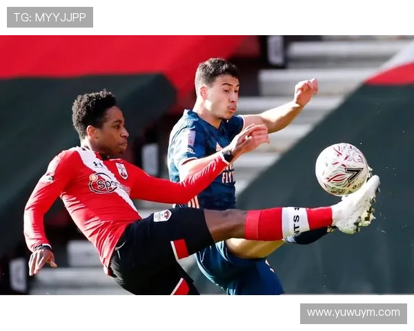 乌迪内斯平科莫对抗五人染黄